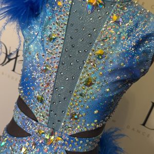 Royal Blue Ostrich Feather Jazz/Showgirl Dance Costume (REF-23) - Image 2
