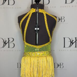 Yellow Tiffany Rose Fringe Costume - REF 49 - Image 3
