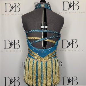 Blue, Rose & Gold Dance Costume (REF-7) - Image 2
