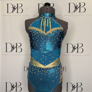 Blue, Rose & Gold Dance Costume (REF-7)