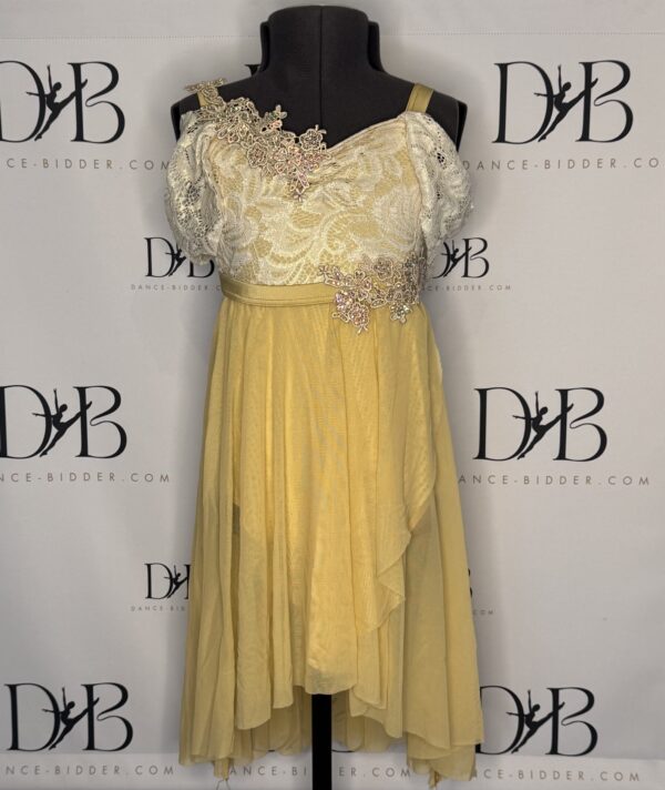 REF 64 Elegant Yellow & Ivory Lace Group Costume