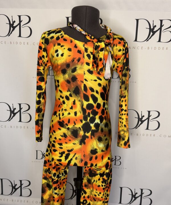 REF 77 - Fiery Animal Print Dance Costume